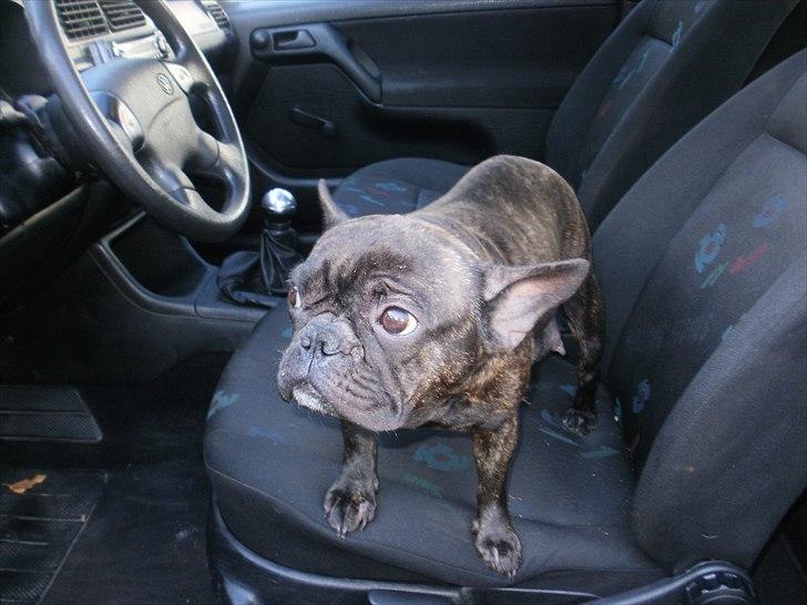 VW golf 3 roling stons billede 7