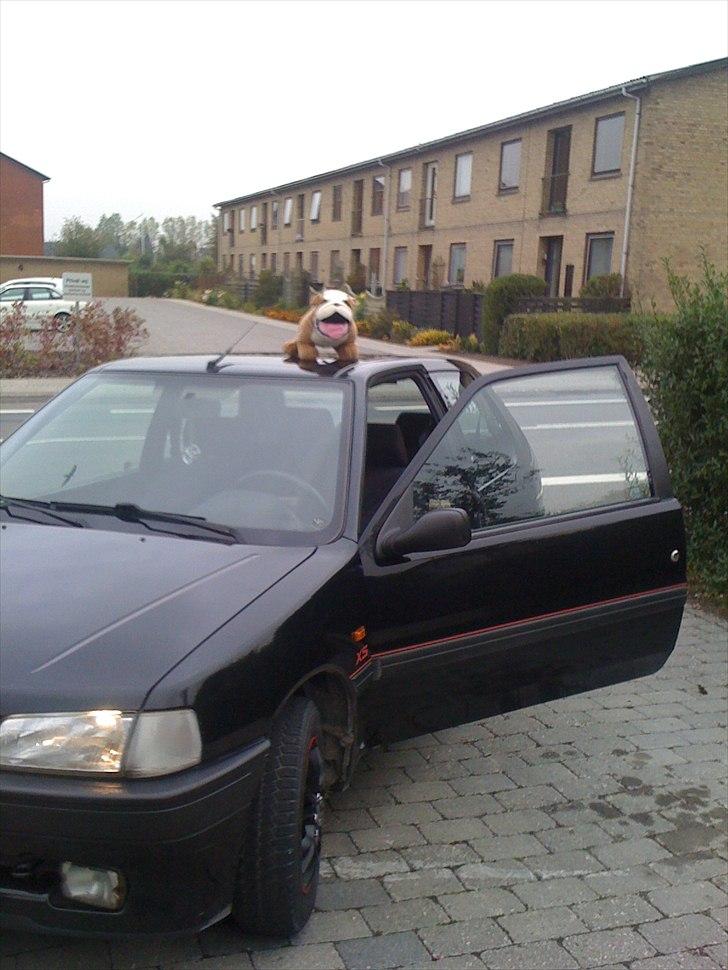 Peugeot 106 xs (bulldogen) billede 11