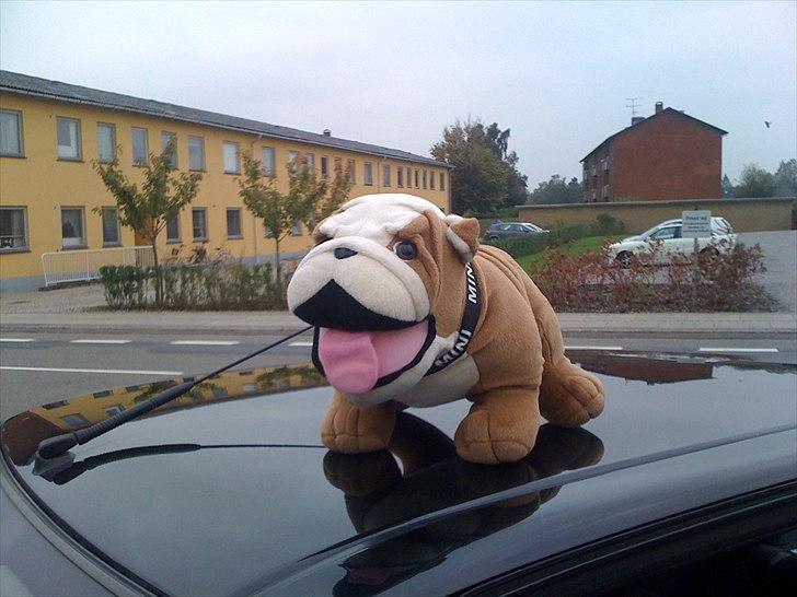 Peugeot 106 xs (bulldogen) billede 12