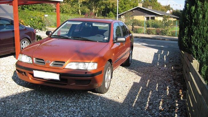Nissan Primera P11 Solgt billede 1