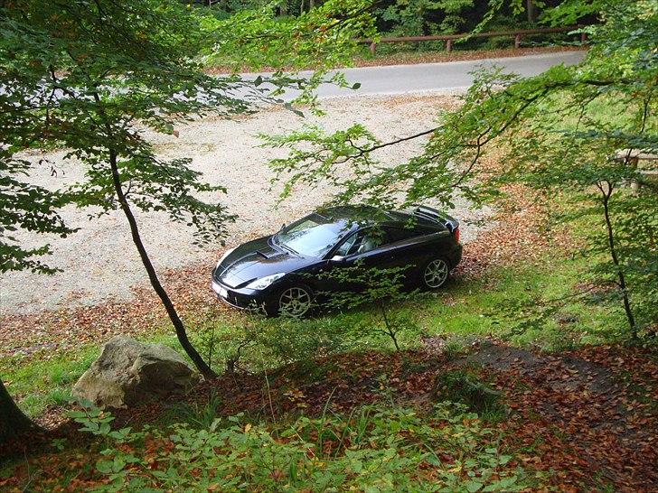 Toyota Celica T23 *SOLGT* billede 2