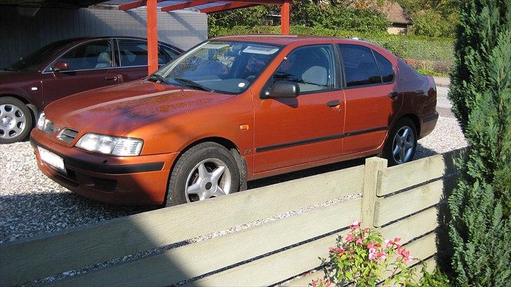Nissan Primera P11 Solgt billede 6