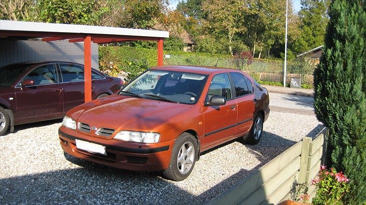 Nissan Primera P11 Solgt billede 15