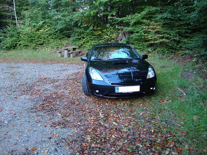 Toyota Celica T23 *SOLGT* billede 3