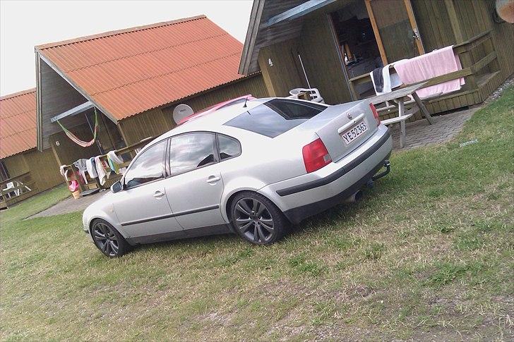 VW Passat 3B - På camping med kæresten  billede 2