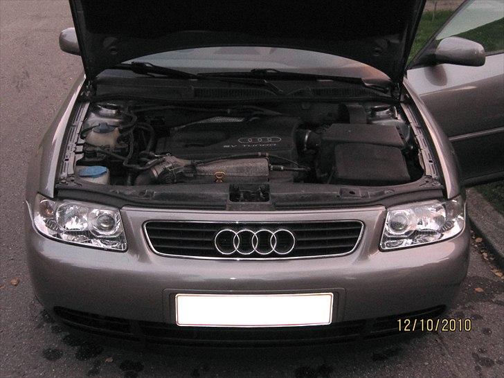 Audi A3 1,8T - Aaaah... motorvask... Det får den lige næste gang ;o) billede 7