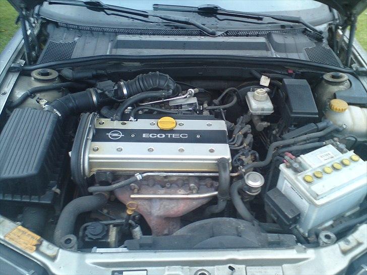 Opel Vectra B billede 11