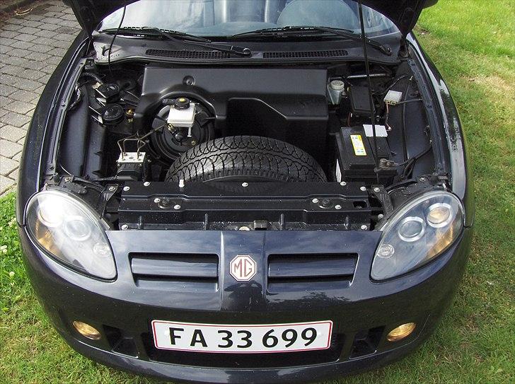 MG TF (solgt) billede 10