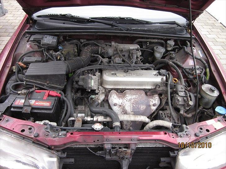 Honda Accord  billede 6