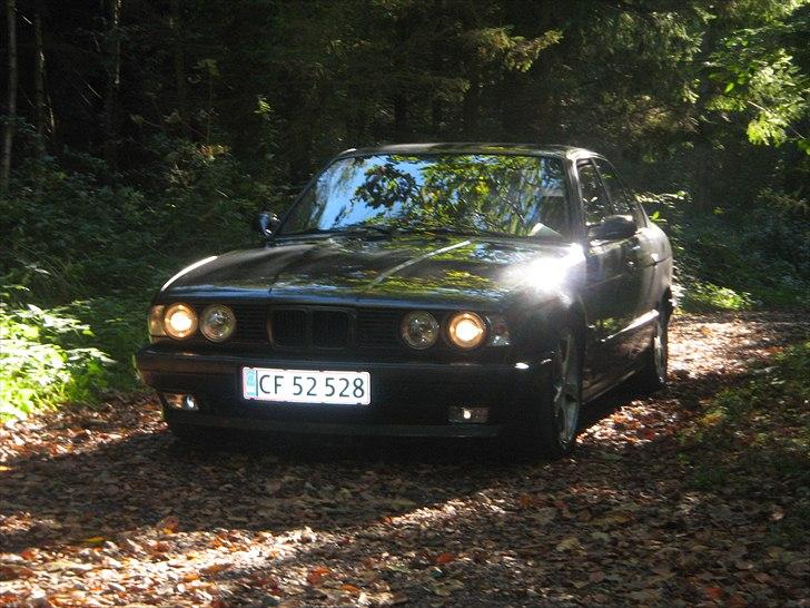 BMW 525i Solgt billede 4