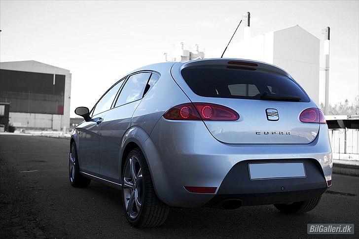 Seat Leon Cupra billede 16
