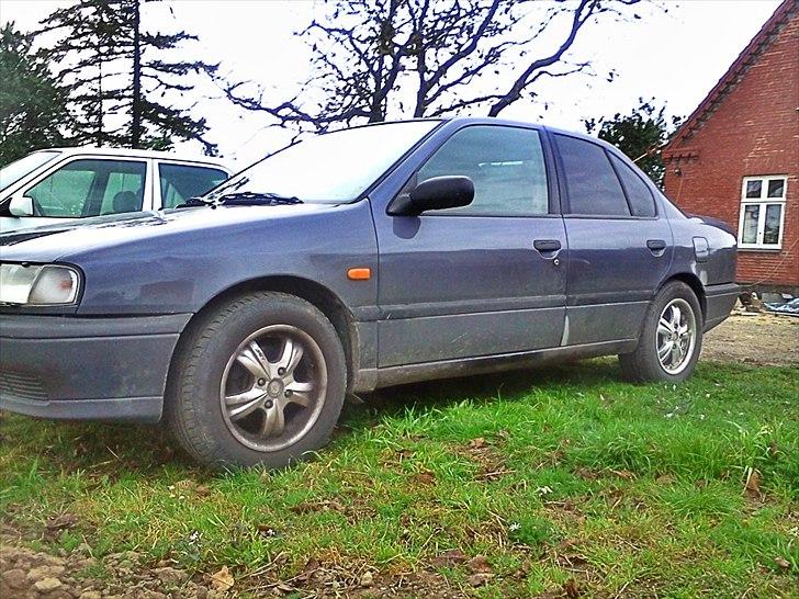 Nissan Primera Byttet billede 11