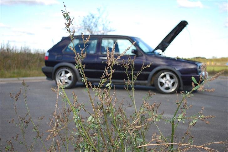 VW golf 2 8v gti solgt billede 16