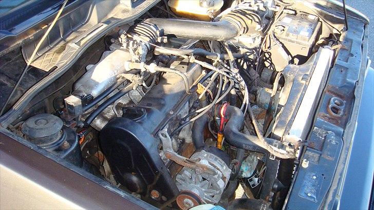 VW GOLF 1 CAB 1.8 GTI billede 10