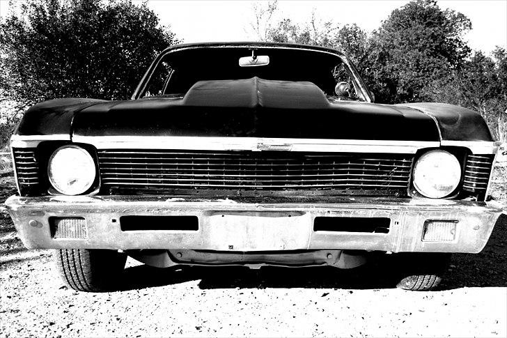 Chevrolet Nova billede 6