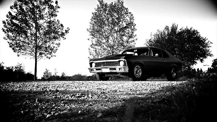 Chevrolet Nova billede 13