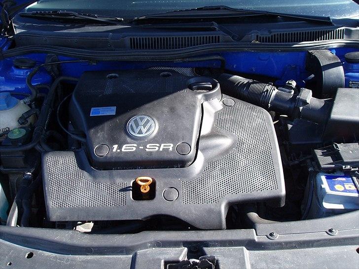 VW Golf IV Evolution *R.I.P.* billede 18