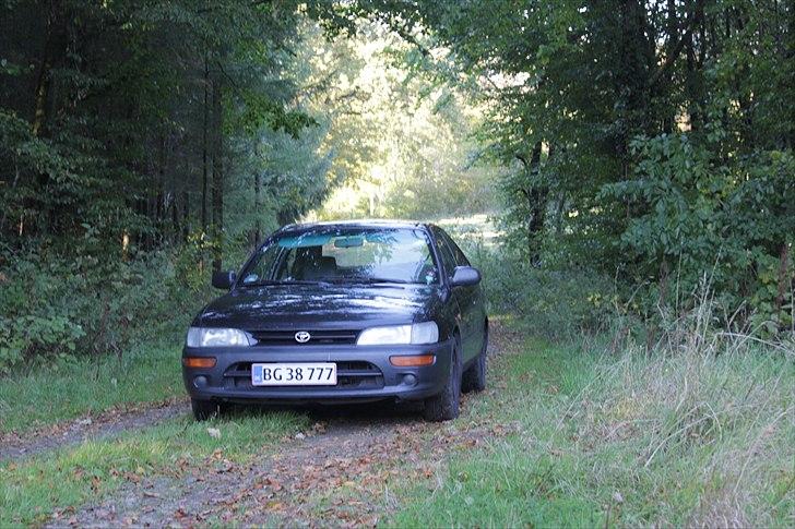 Toyota Corolla 1,6 XLI  (solgt) billede 2