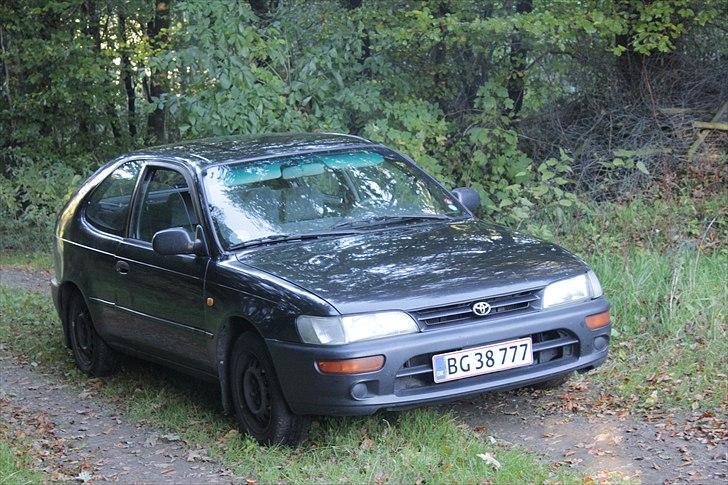 Toyota Corolla 1,6 XLI  (solgt) billede 3