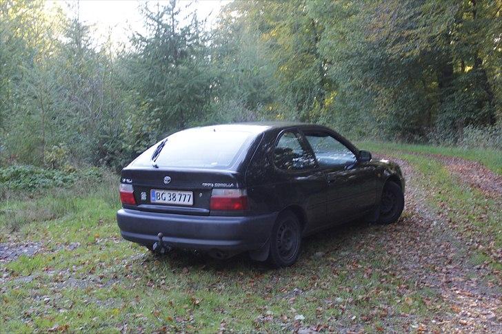 Toyota Corolla 1,6 XLI  (solgt) billede 5
