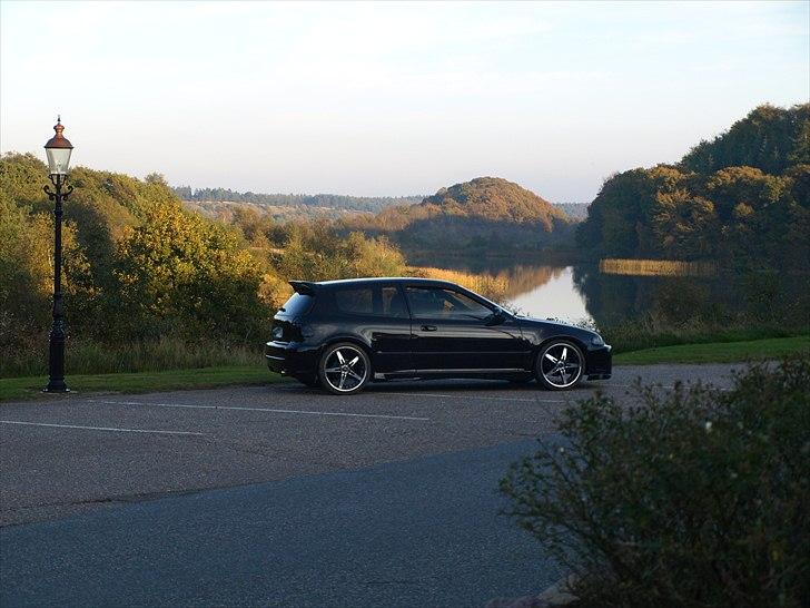 Honda Civic EG4 - Billederne er taget ved Røræk sø, nogle af de skønneste omgivelser man kan forestille sig. Tak til restaurant rørbæk sø for lån af lygtepæl. billede 3