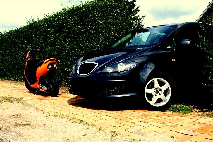 Seat Altea Stylance Solgt billede 14