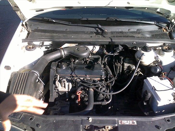 VW golf III     billede 2