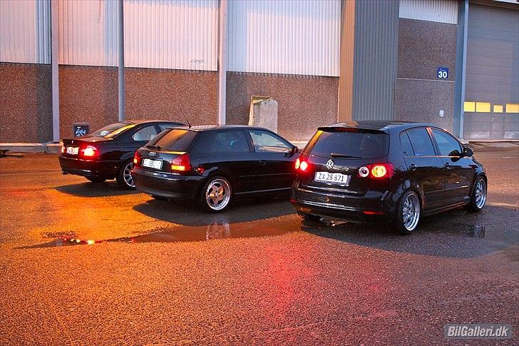 BMW 318ci Coupé billede 10