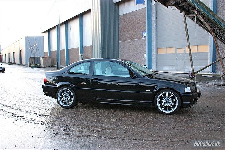 BMW 318ci Coupé billede 12