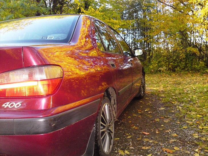 Peugeot 406 billede 7