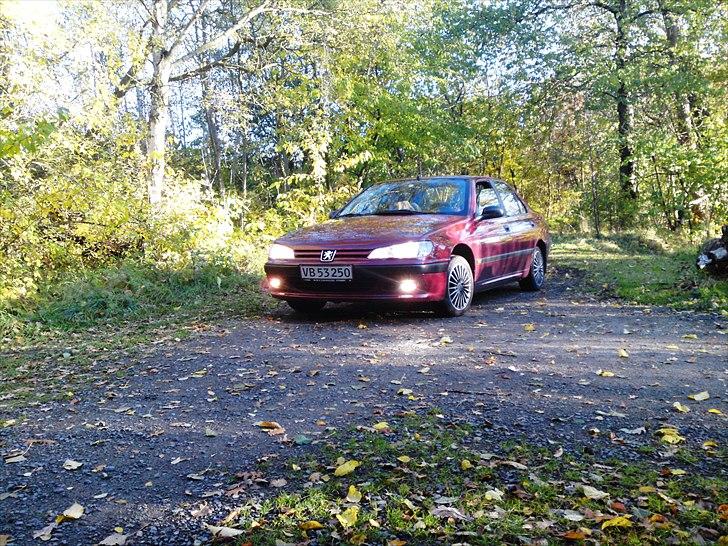 Peugeot 406 billede 8