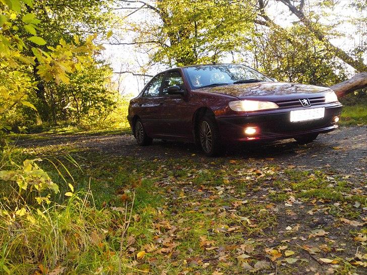 Peugeot 406 billede 6