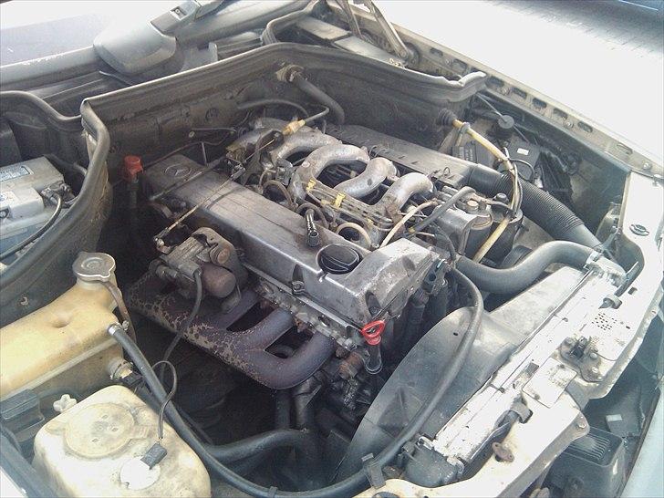 Mercedes Benz 124 250 D billede 8