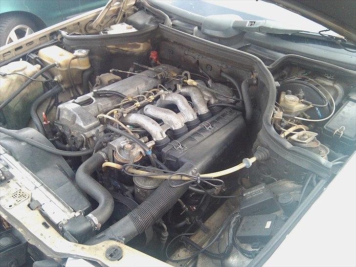 Mercedes Benz 124 250 D billede 9