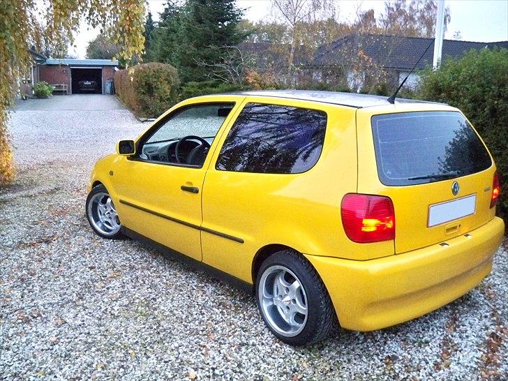 VW polo 6n billede 3