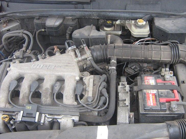 Fiat Brava billede 10