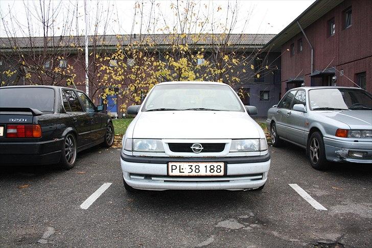 Opel Vectra A (fiskekutteren) billede 2