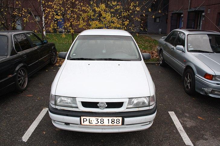 Opel Vectra A (fiskekutteren) billede 3