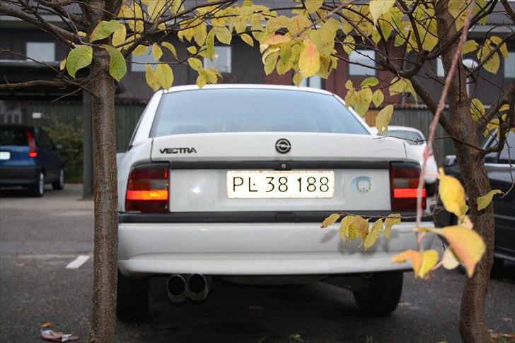 Opel Vectra A (fiskekutteren) billede 6