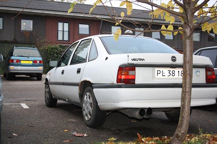 Opel Vectra A (fiskekutteren) billede 8