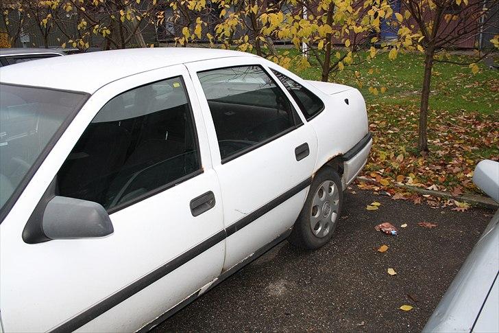 Opel Vectra A (fiskekutteren) billede 12