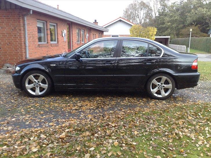 BMW E46 330 D billede 6