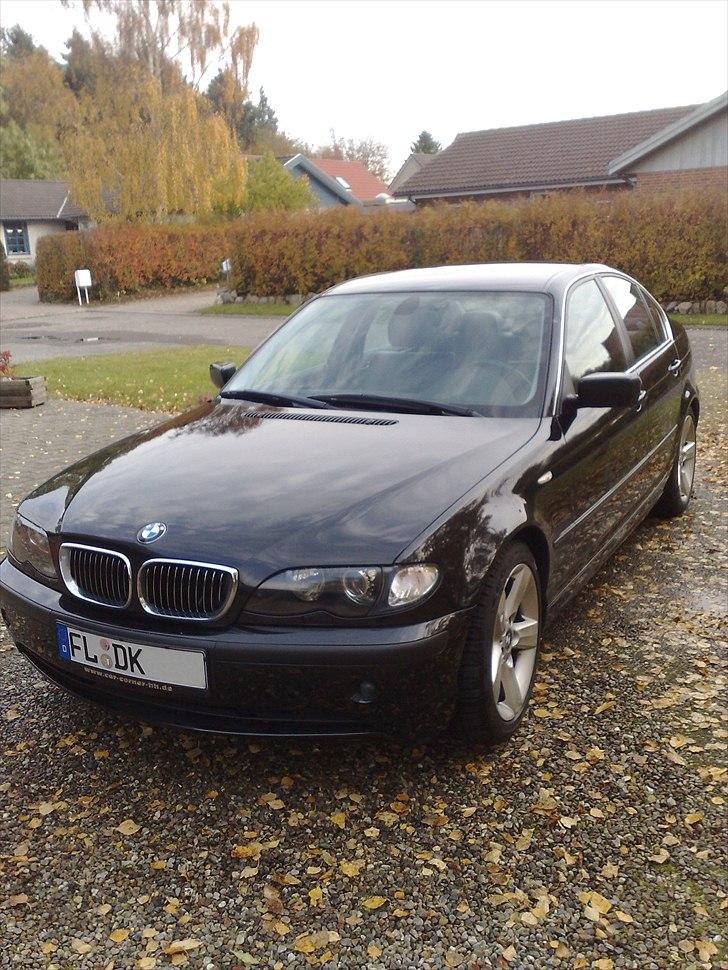 BMW E46 330 D billede 13