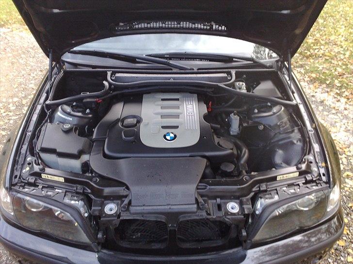 BMW E46 330 D billede 15