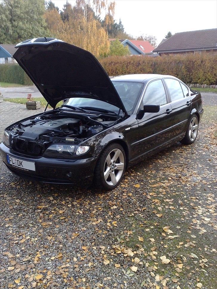 BMW E46 330 D billede 16