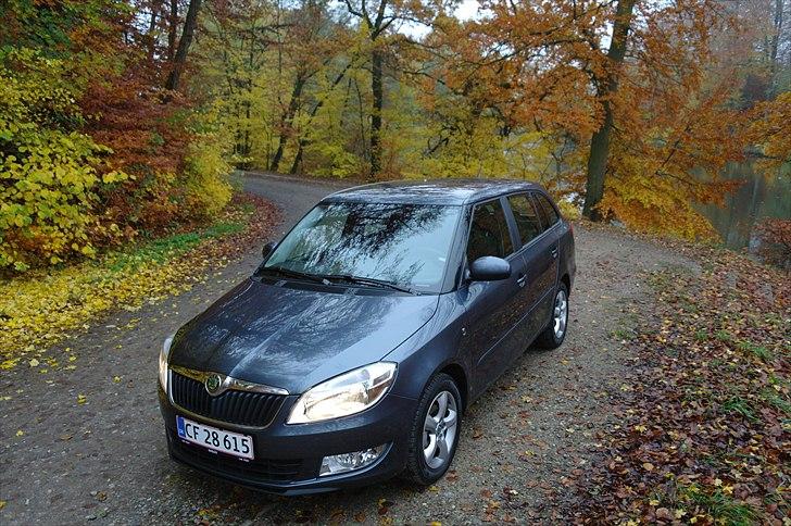 Skoda Fabia Greenline  billede 1