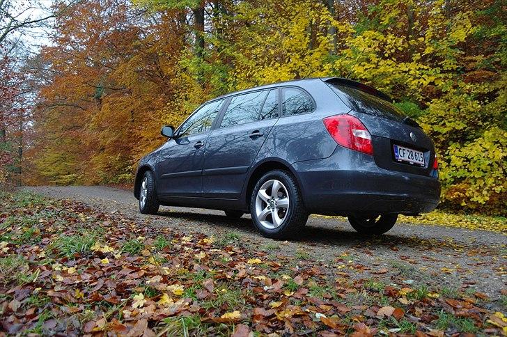 Skoda Fabia Greenline  billede 6