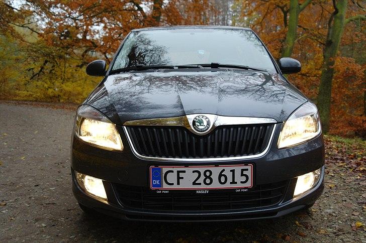 Skoda Fabia Greenline  billede 7