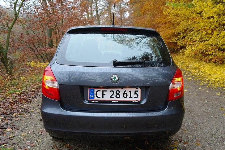 Skoda Fabia Greenline  billede 8