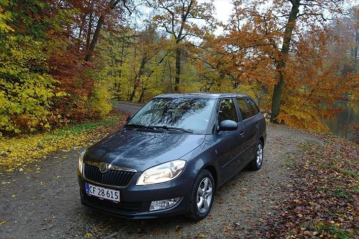 Skoda Fabia Greenline  billede 9